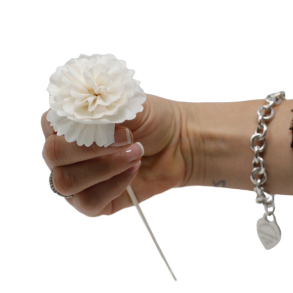 naturalny dyfuzor kwiatowy - goździk na trzcinie