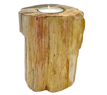 Świecznik ze skamieniałego drewna - Wysoki