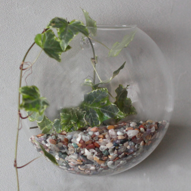 Ozdobne Szklane Terrarium - Duża Misa