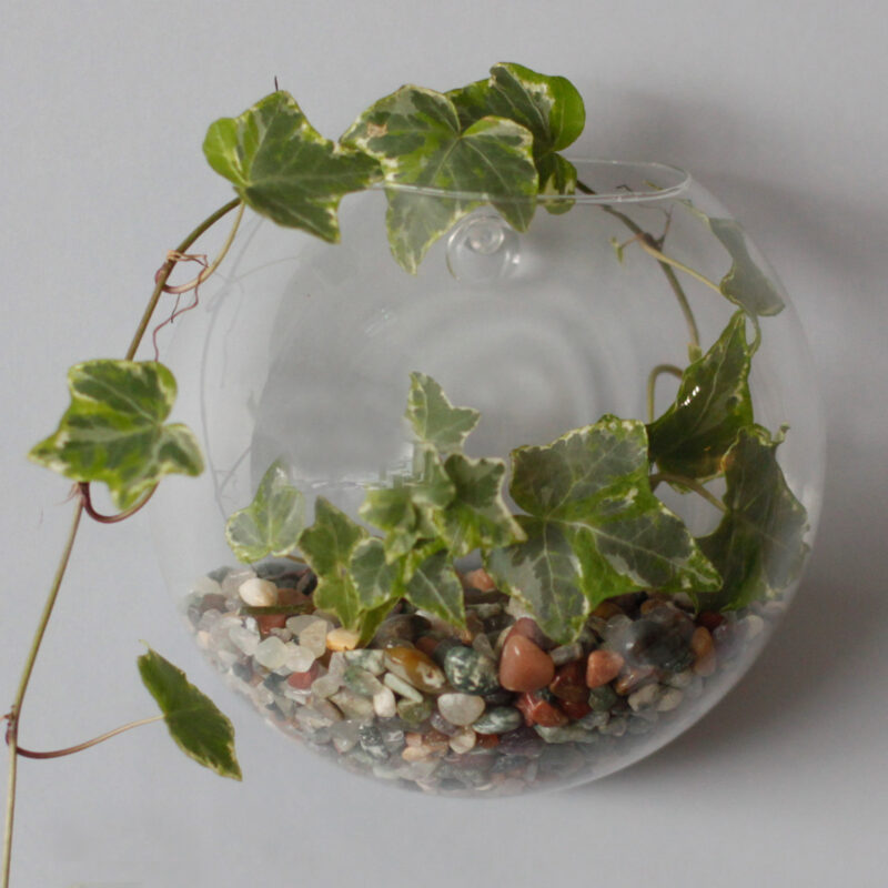 Ozdobne Szklane Terrarium - Duża Misa