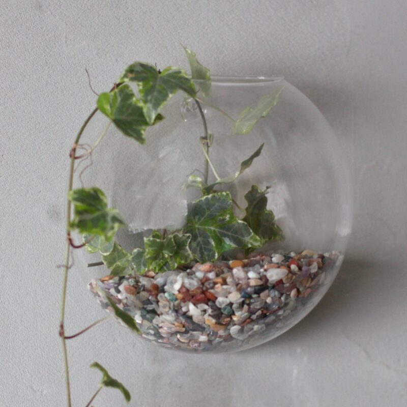 Ozdobne Szklane Terrarium - Mała Misa