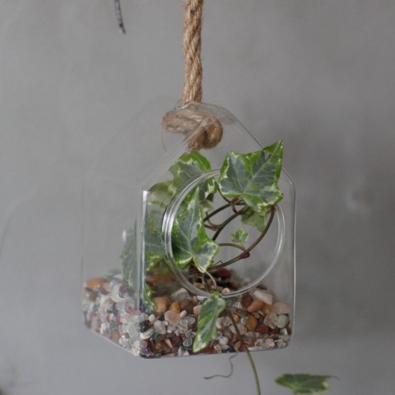 Ozdobne Szklane Terrarium - Wiszący Domek