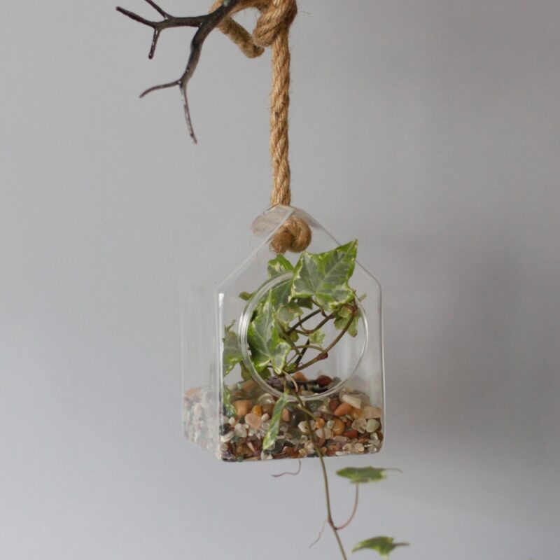 Ozdobne Szklane Terrarium - Wiszący Domek