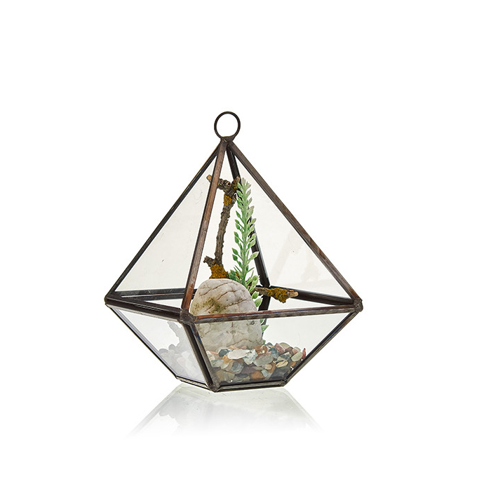 Szklane Terrarium Geometryczne - Mały Romb