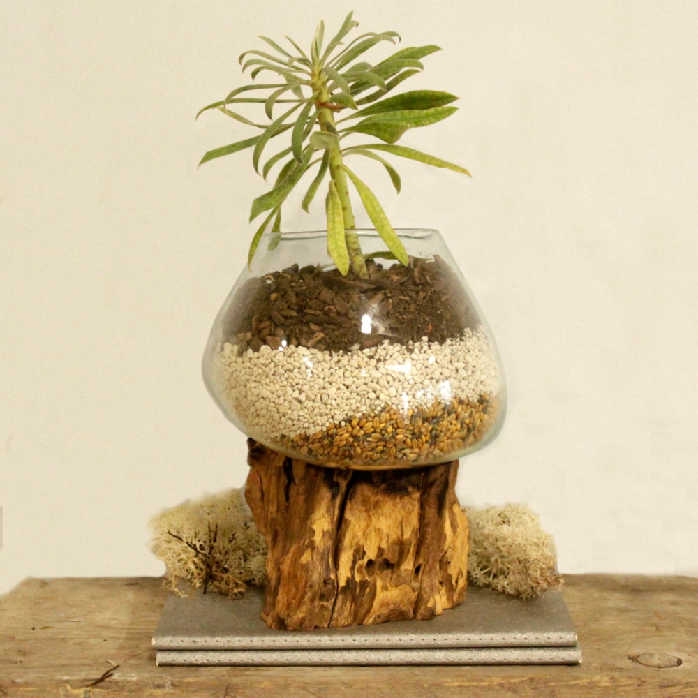 Szklany Wazon Wtopiony w Drewno - Duży Wazon